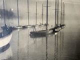 de nombreux bateaux qui flottent ensemble sur l'eau