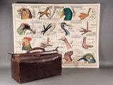 une photo d'un sac en papier brun et une photo représentant différents oiseaux