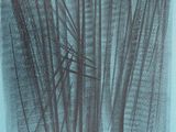 an image of a book cover with a drawing of a line of lines
