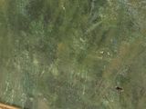 an image of a close up of a painting on a wall