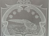 a picture of a bird that is etched into the glass