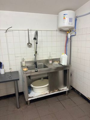 une cuisine équipée d'un évier et de toilettes