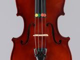 a close up of a violin on a white background
