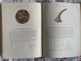 a book open to a page with a picture of an animal ' s head