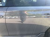 a reflection of a cat in the side of a car door