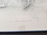 Photo 2/2 du lot