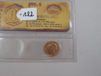 a small piece of gold coin in a clear plastic holder