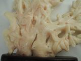 a very large piece of art that looks like corals