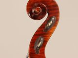 a close up of the back of a violin