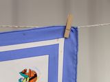 a picture of a picture hanging on a clothes line