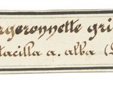an old label with writing on it on a white surface