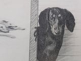 pencil drawing of a dachshund sitting in front of a drawing of a house