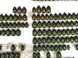 a lot of green beetles that are on the shelf