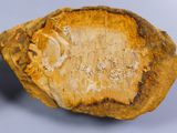 an image of a piece of wood that has been cut in half