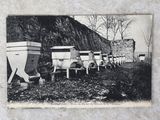 de nombreuses ruches alignées au bord de la route