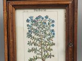 deux photos encadrées représentant des fleurs bleues, dans des cadres en bois, sur un fond gris