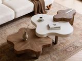 a living room with a couch, coffee table, and rug