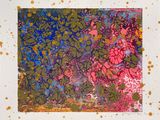 an image of a picture of a picture of a flower field