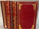 trois livres rouges sont alignés sur une surface blanche