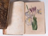 a book with a picture of a flower on it