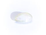 a close up of a white stone with a yellow stripe on it