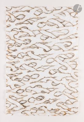 une image représentant un morceau de papier qui a été arraché
