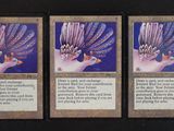 trois cartes représentant une fleur, posées sur une table