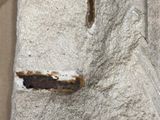 a piece of concrete that has been placed on a table