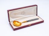 a gold spoon in a red box with a gold spoon in it