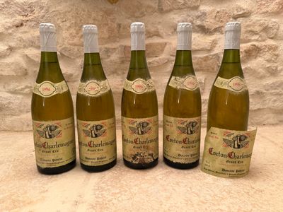 5 B Corton-Charlemagne grand cru.