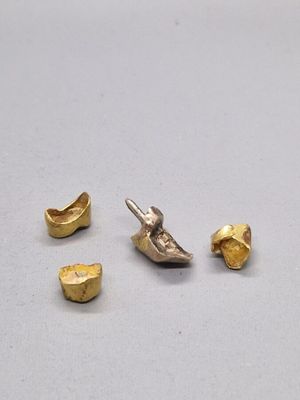 quatre pièces d'or sont représentées sur un fond blanc