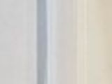 a dog that is standing in the corner of a room
