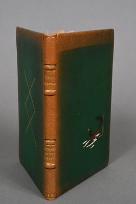 an image of a book with a picture of a skier on it
