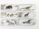 plusieurs plateaux en verre représentant différents animaux, posés sur une surface blanche