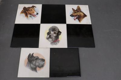 quatre photos différentes de chiens posant sur une table à carreaux noirs et blancs