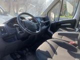 Photo 8/11 du lot