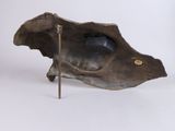 a sculpture of a shell on a stand on a white surface