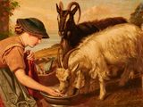 un tableau représentant une femme donnant à manger à une chèvre à partir d'un bol