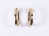 a pair of gold hoop earrings on a white background