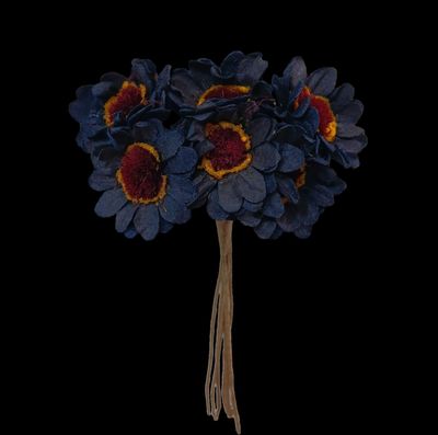 un bouquet de fleurs bleues au cœur jaune sur fond noir