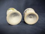 pair of porcelain salt and pepper shakers with hand painted flowers