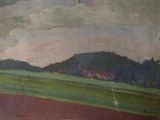 a painting of an airplane flying over a green field
