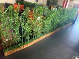 many plants that are growing in the planter
