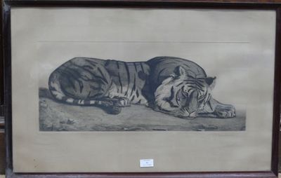 a picture of a tiger laying down on the ground