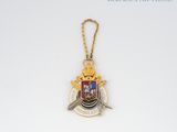 a close up of a gold medal with a sword on a chain