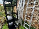deux échelles appuyées contre un mur de pierre, à côté d'une plante en pot