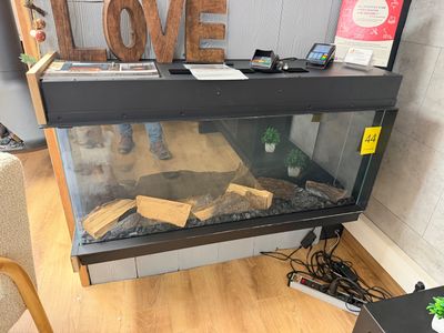 un aquarium dans lequel il y a beaucoup de bois