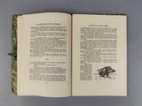 an open book with a picture of a bear on it