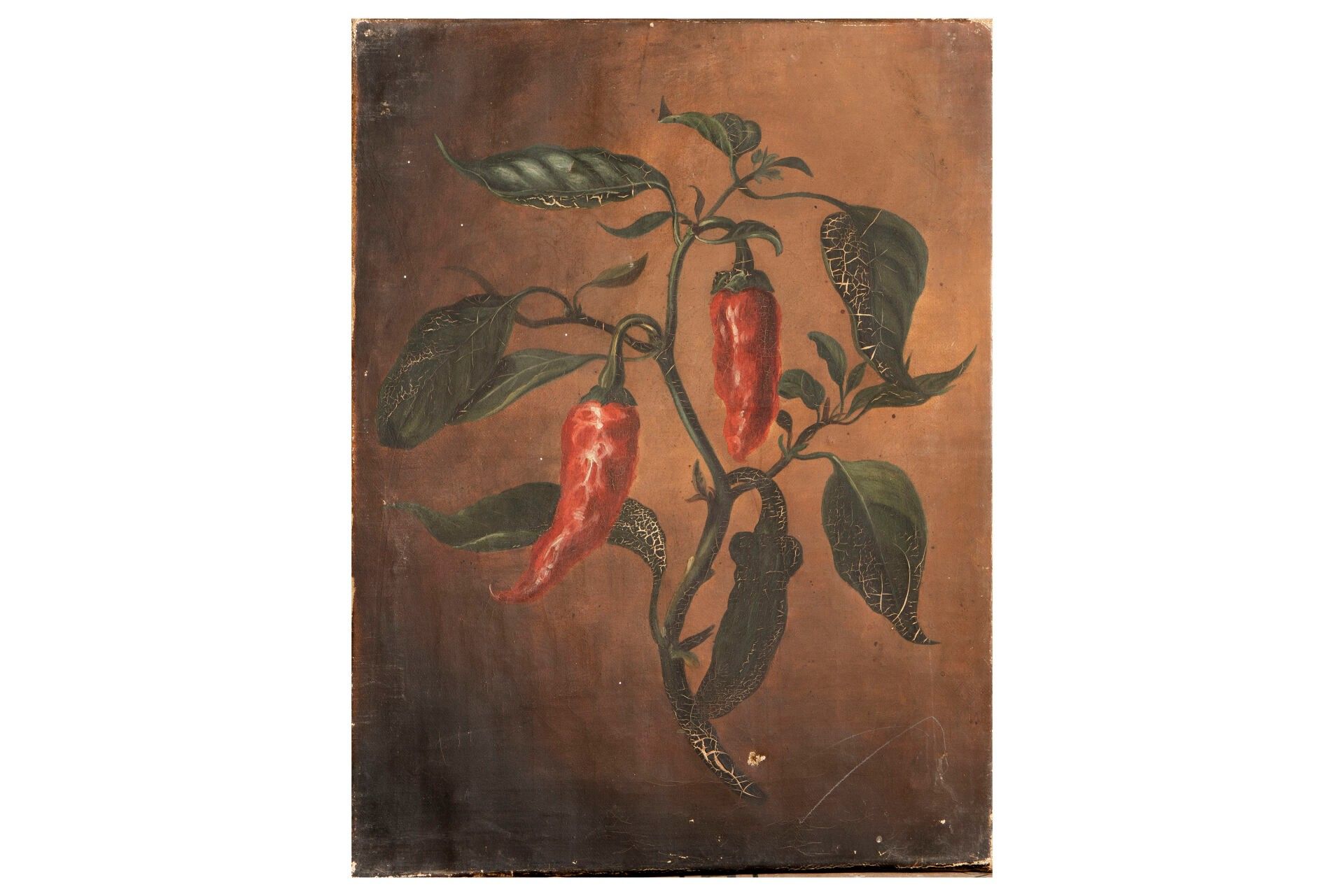 Objets d'art & Curiosités
