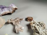 a lot of different types of rocks on the table